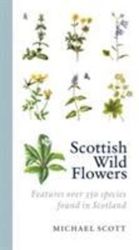 Cover: 9781841589534 | Scottish Wild Flowers | Michael Scott | Taschenbuch | Englisch | 2011