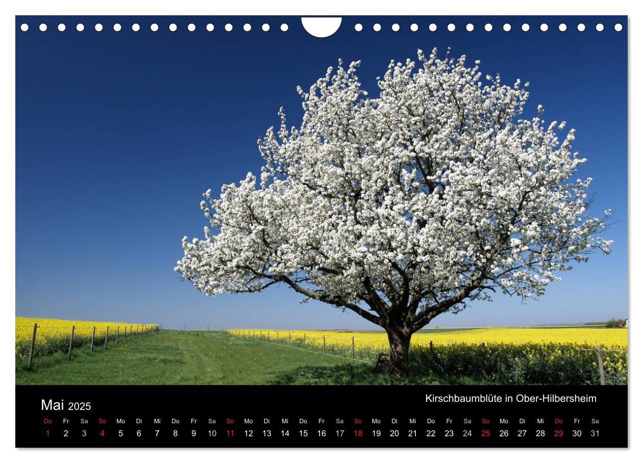 Bild: 9783435504183 | Himmel über Rheinhessen (Wandkalender 2025 DIN A4 quer), CALVENDO...