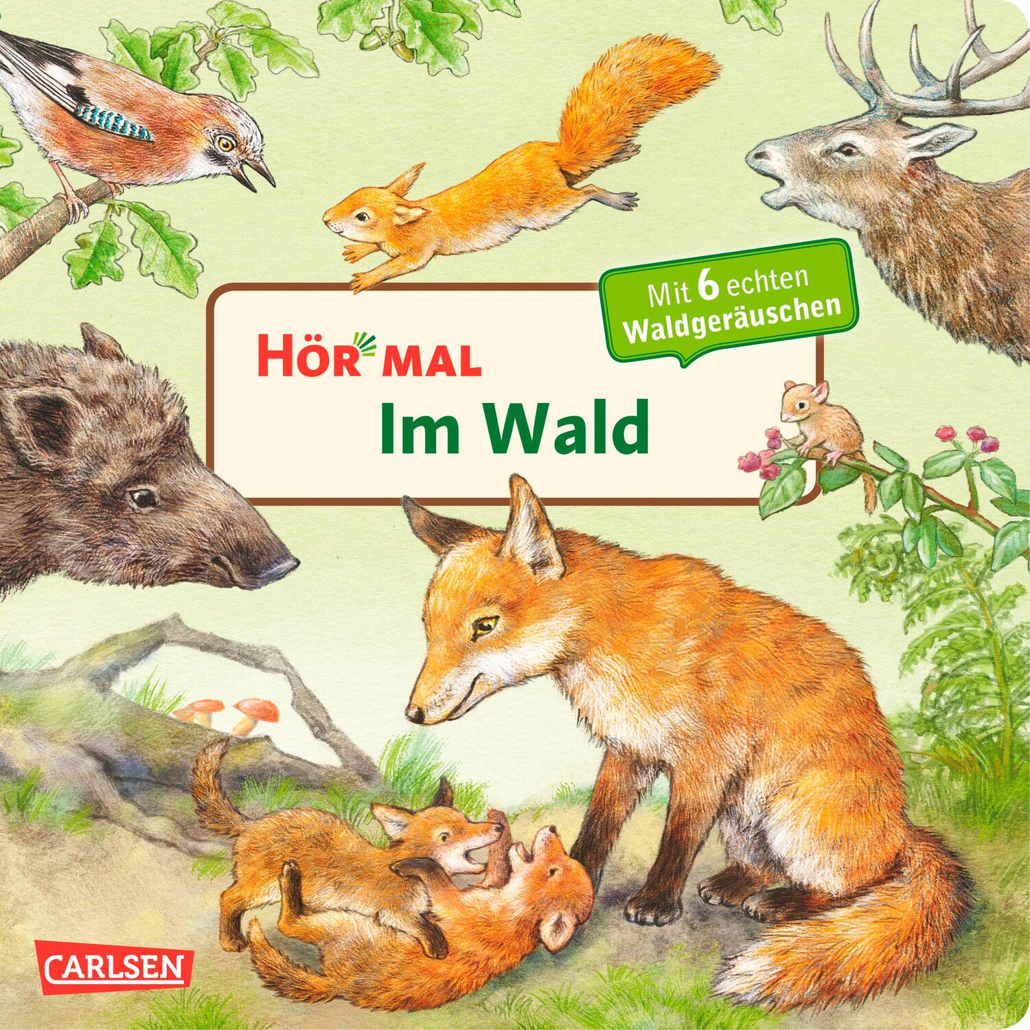 Cover: 9783551250438 | Hör mal (Soundbuch): Im Wald | Anne Möller | Buch | 14 S. | Deutsch