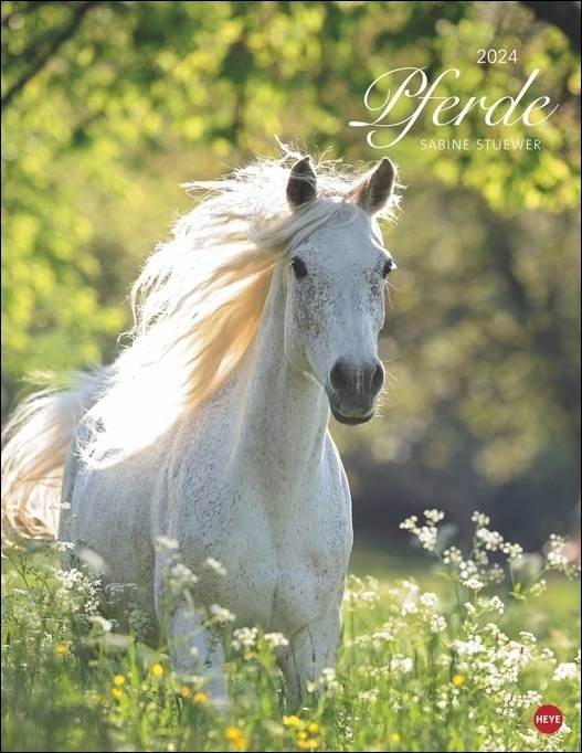 Cover: 9783756401413 | Pferde Classics Posterkalender 2024. Die Eleganz der Tiere in einem...
