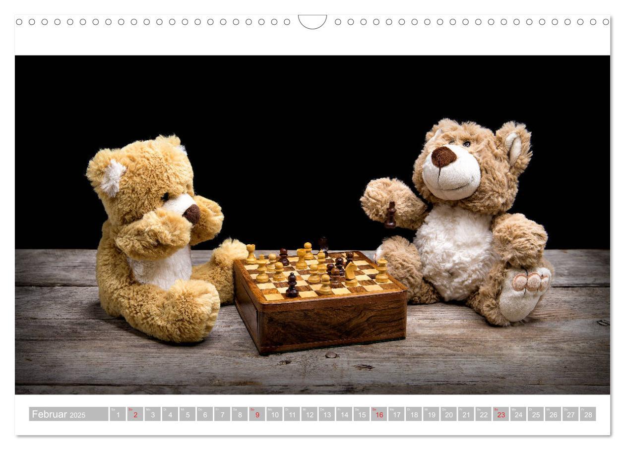 Bild: 9783435253432 | Eddy, der Teddy - 12 Bilder zum Schmunzeln (Wandkalender 2025 DIN...