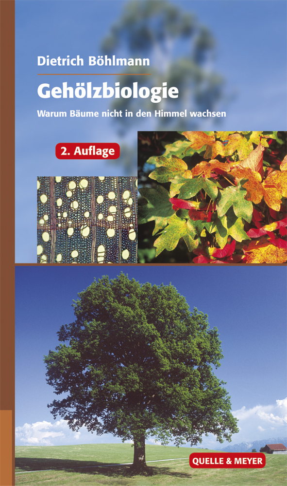 Cover: 9783494015477 | Gehölzbiologie | Warum Bäume nicht in den Himmel wachsen | Böhlmann