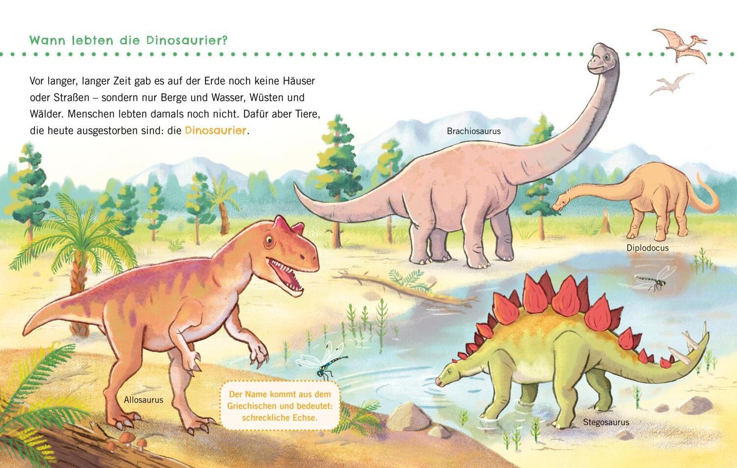 Bild: 9783551036131 | Unkaputtbar: Erstes Wissen: Dinosaurier | Petra Klose | Taschenbuch