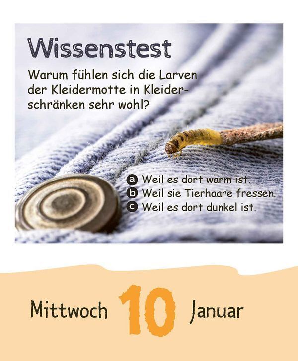 Bild: 9783731873327 | Coole Ideen für Kids 2024 | Korsch Verlag | Kalender | 328 S. | 2024