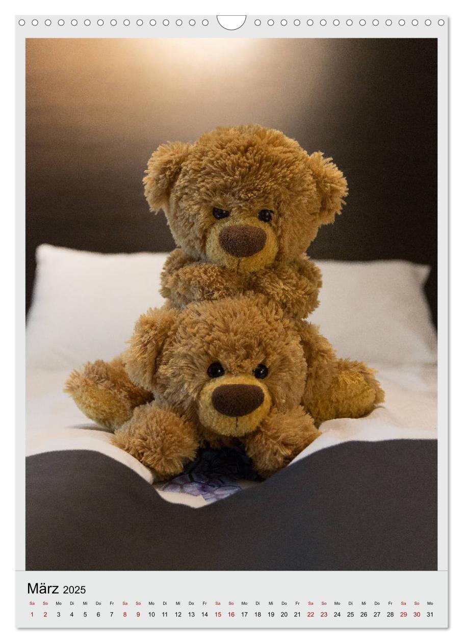 Bild: 9783435984961 | Travelling Teddy in Europa (Wandkalender 2025 DIN A3 hoch),...