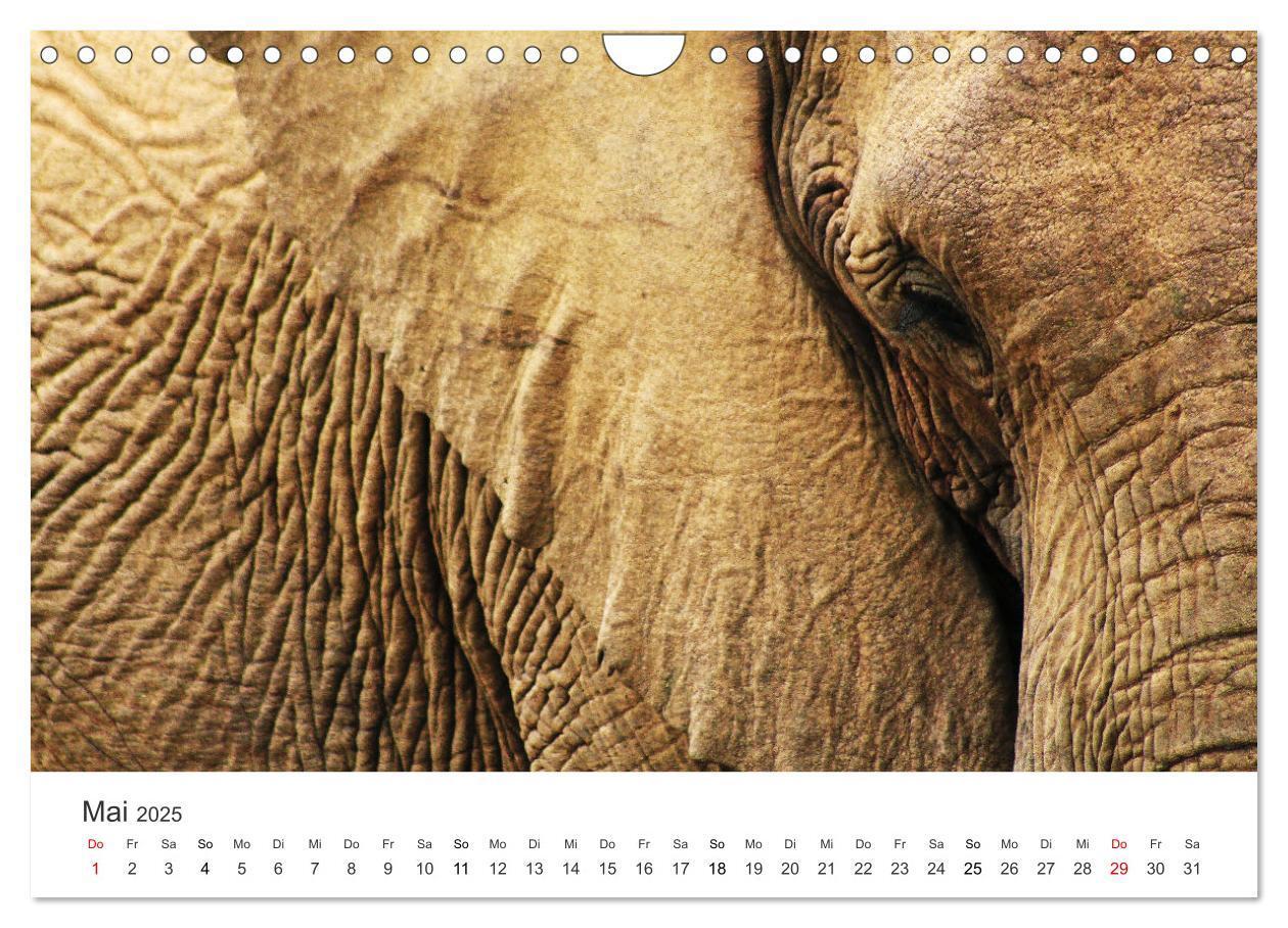 Bild: 9783435057665 | Bezauberndes Südafrika (Wandkalender 2025 DIN A4 quer), CALVENDO...