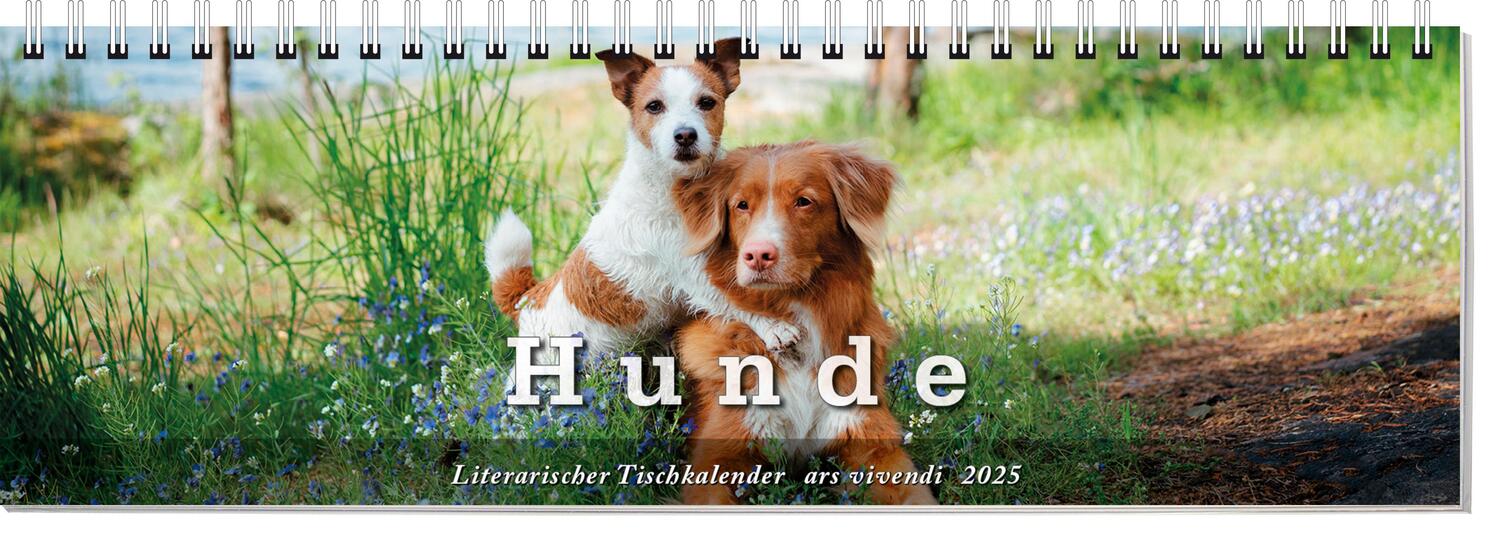 Cover: 9783747205709 | Tischkalender Hunde 2025 | Tischkalender | ars vivendi verlag | 53 S.