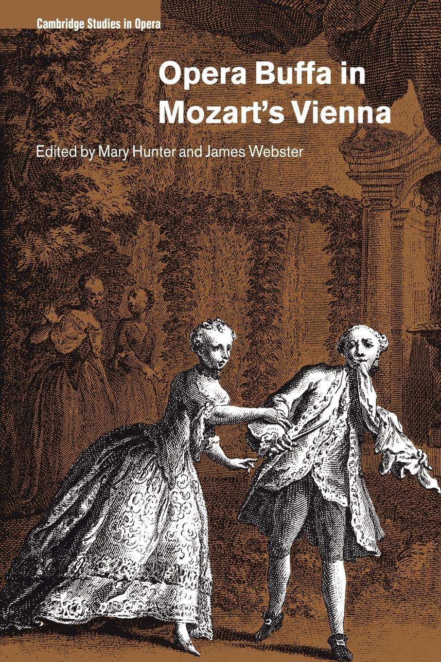 Cover: 9780521027113 | Opera Buffa in Mozart's Vienna | Ellen Rosand | Taschenbuch | Englisch