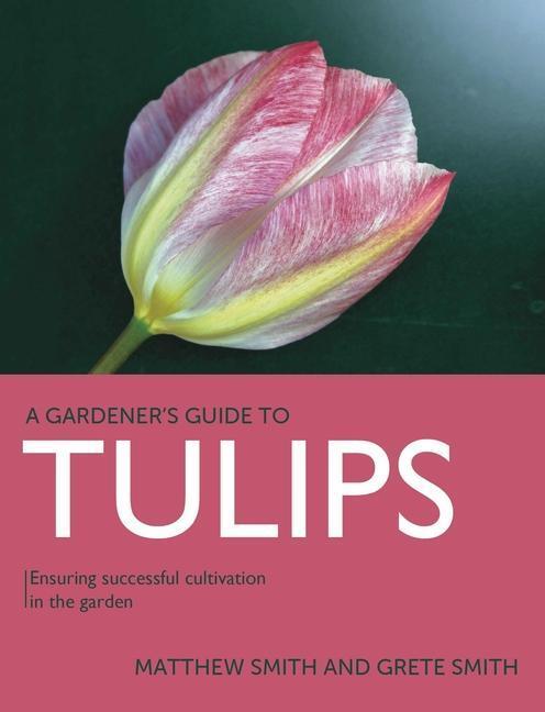 Cover: 9780719842030 | Tulips | Ensuring Successful Cultivation in the Garden | Smith (u. a.)