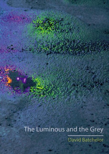 Cover: 9781780232805 | The Luminous and the Grey | David Batchelor | Taschenbuch | Englisch