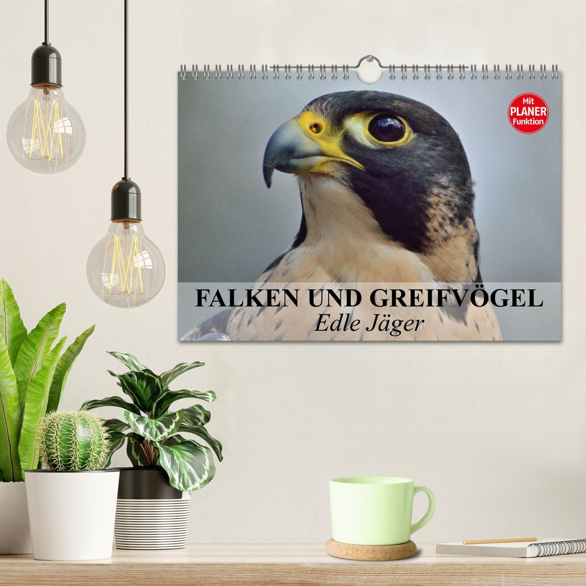 Bild: 9783435549535 | Falken und Greifvögel - Edle Jäger (Wandkalender 2025 DIN A4 quer),...