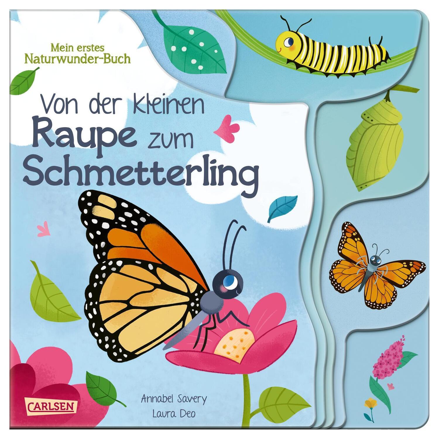 Cover: 9783551172204 | Von der kleinen Raupe zum Schmetterling | Mein erstes Naturwunder-Buch