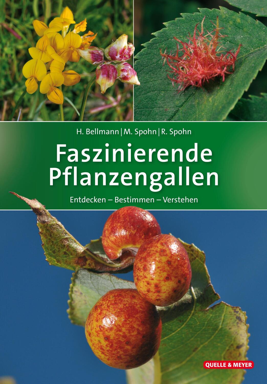 Cover: 9783494017525 | Faszinierende Pflanzengallen | Entdecken - Bestimmen - Verstehen
