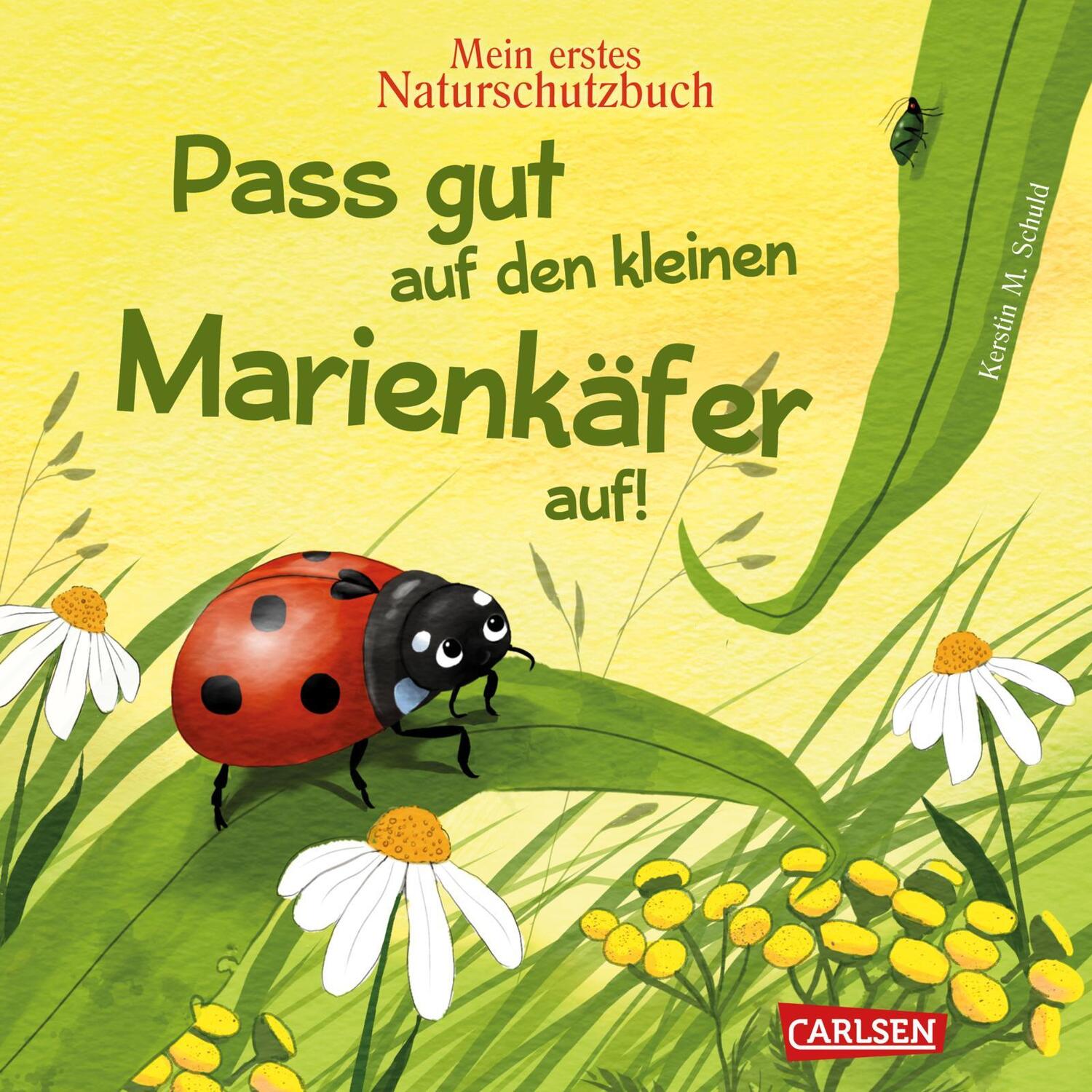 Cover: 9783551172792 | Pass gut auf den kleinen Marienkäfer auf | Kerstin M. Schuld | Buch