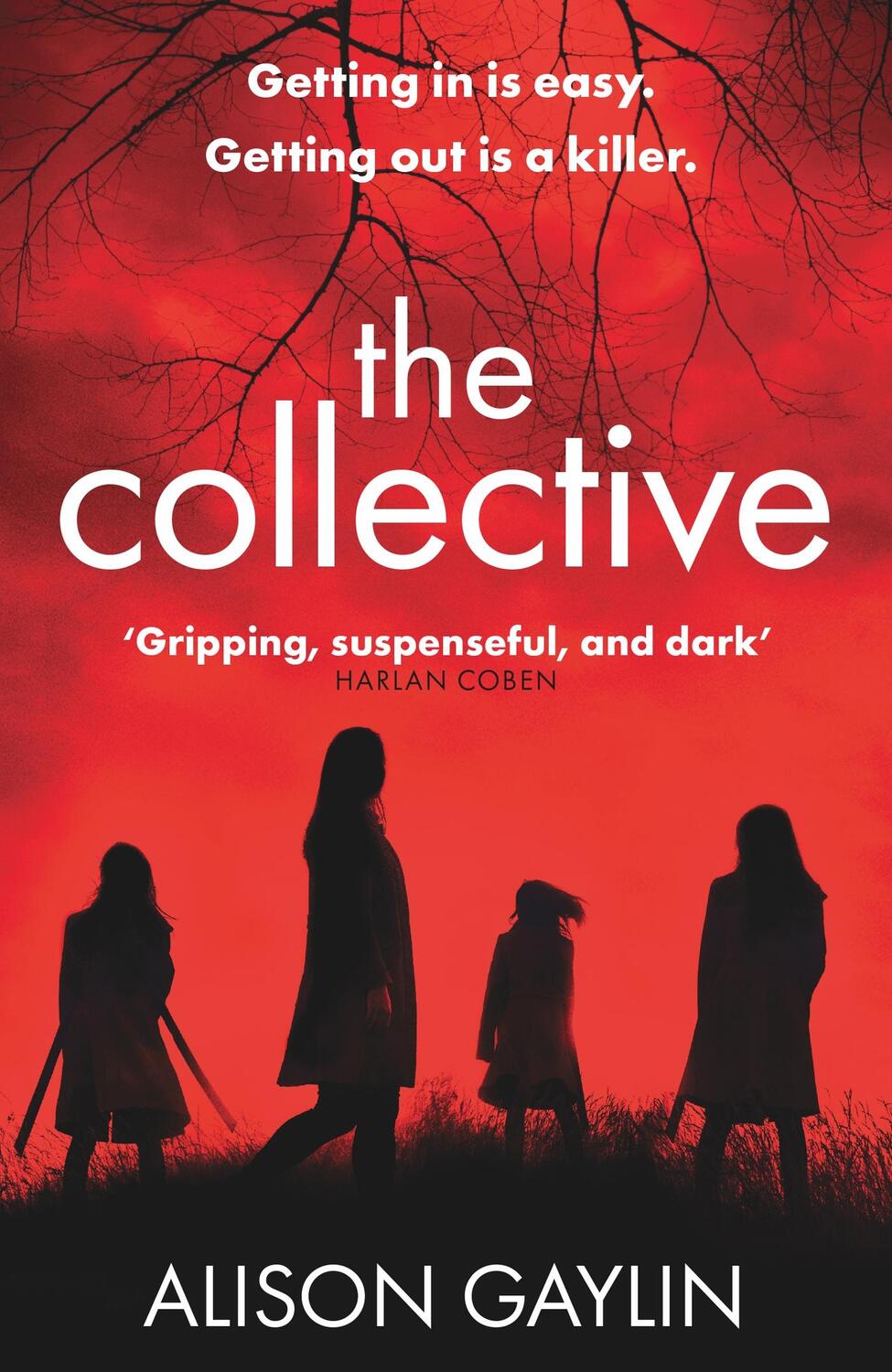 Cover: 9781409179085 | The Collective | Alison Gaylin | Taschenbuch | Kartoniert / Broschiert