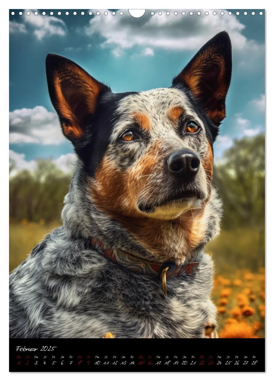 Bild: 9783435877072 | Australian Cattle Dogs (Wandkalender 2025 DIN A3 hoch), CALVENDO...