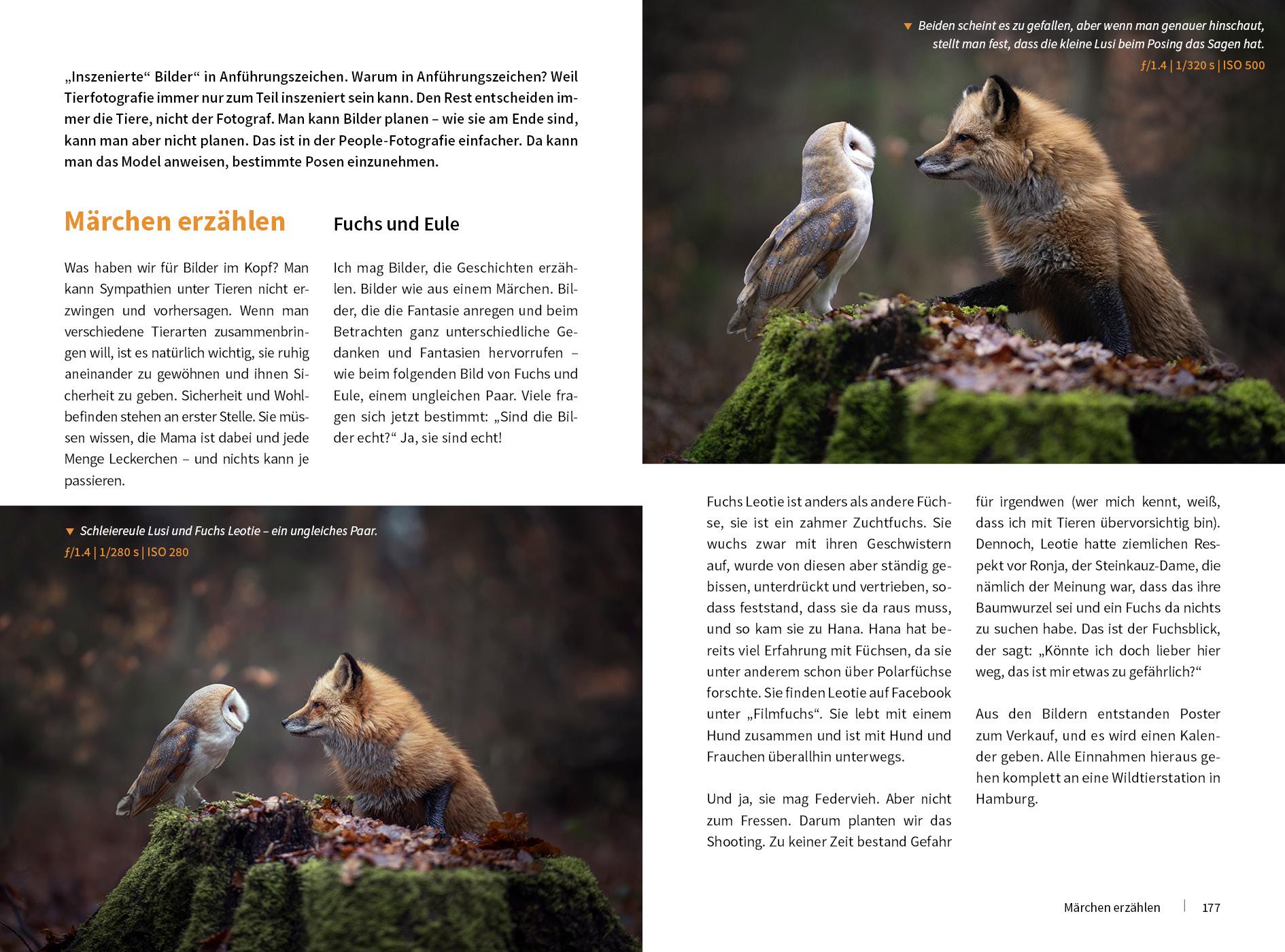 Bild: 9783832804220 | Tierische Momente fotografieren | Brandt Tanja | Buch | 328 S. | 2020