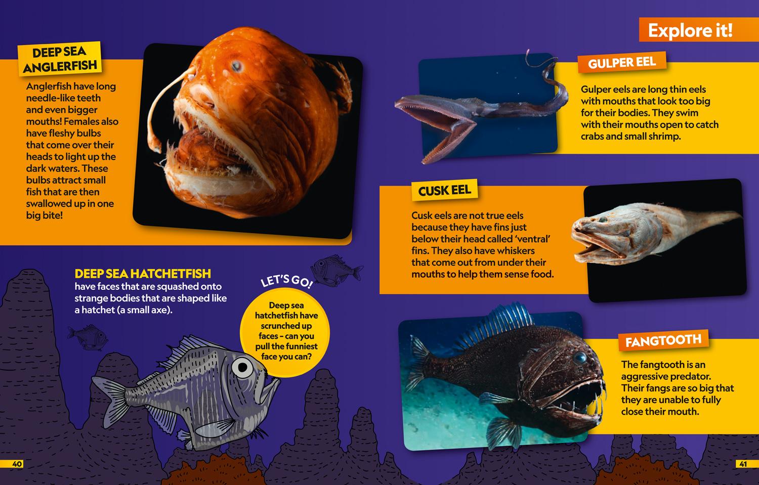 Bild: 9780008421892 | Oceans Find it! Explore it! | National Geographic Kids | Taschenbuch