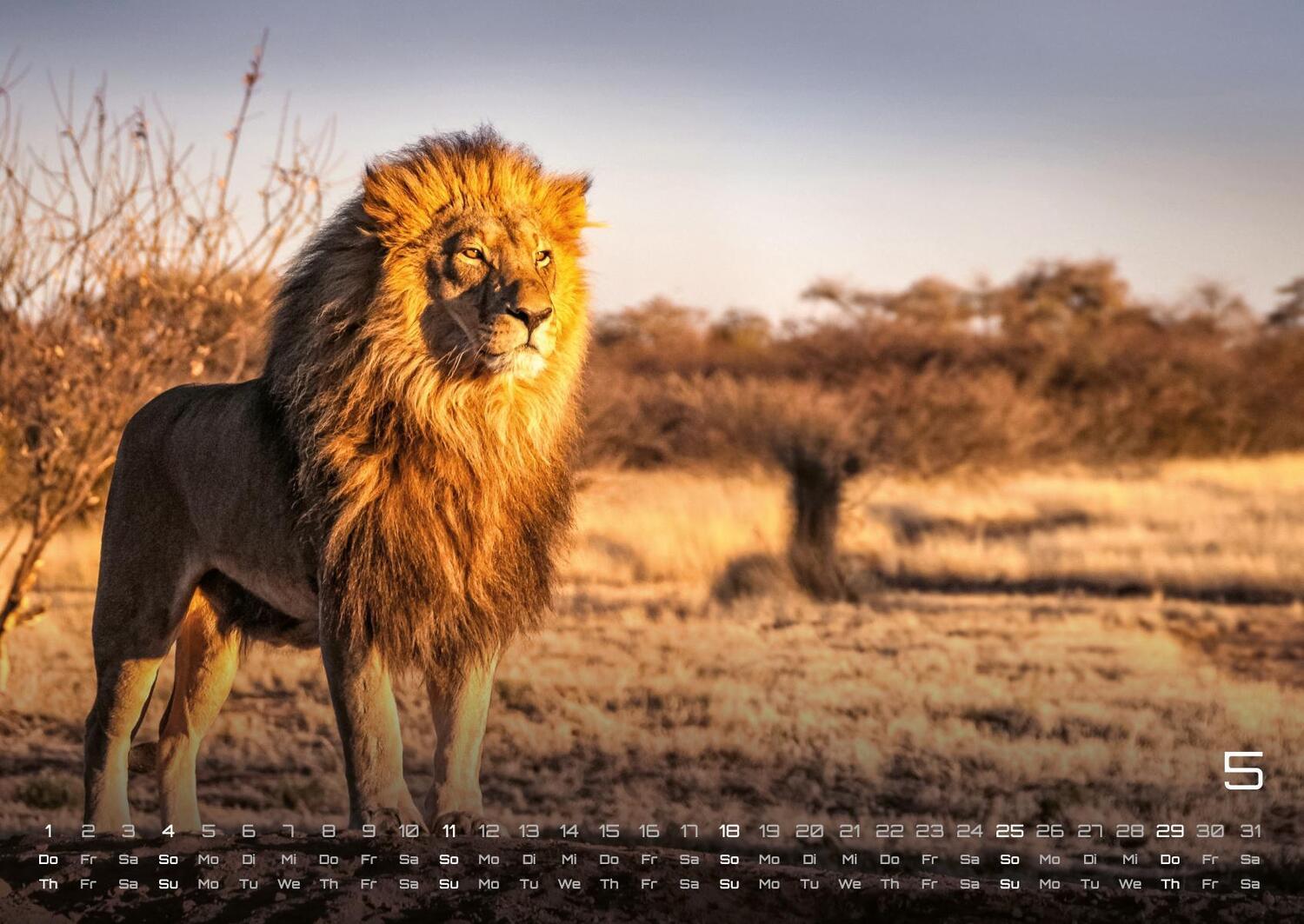 Bild: 9783986734374 | Afrikas Tierwelt - Der Tierkalender - 2025 - Kalender DIN A2 | de