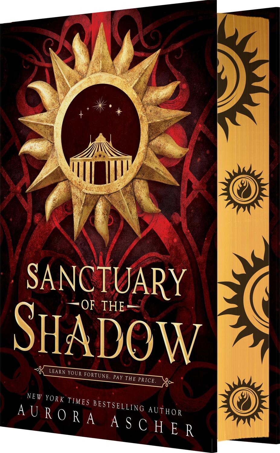 Cover: 9781649374110 | Sanctuary of the Shadow | Aurora Ascher | Buch | 416 S. | Englisch