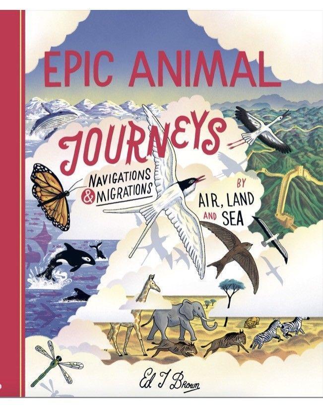Cover: 9781800660298 | Epic Animal Journeys | Migration and navigation by air, land and sea