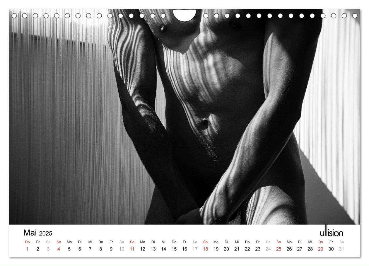 Bild: 9783435566112 | Männer AKT Art (Wandkalender 2025 DIN A4 quer), CALVENDO...