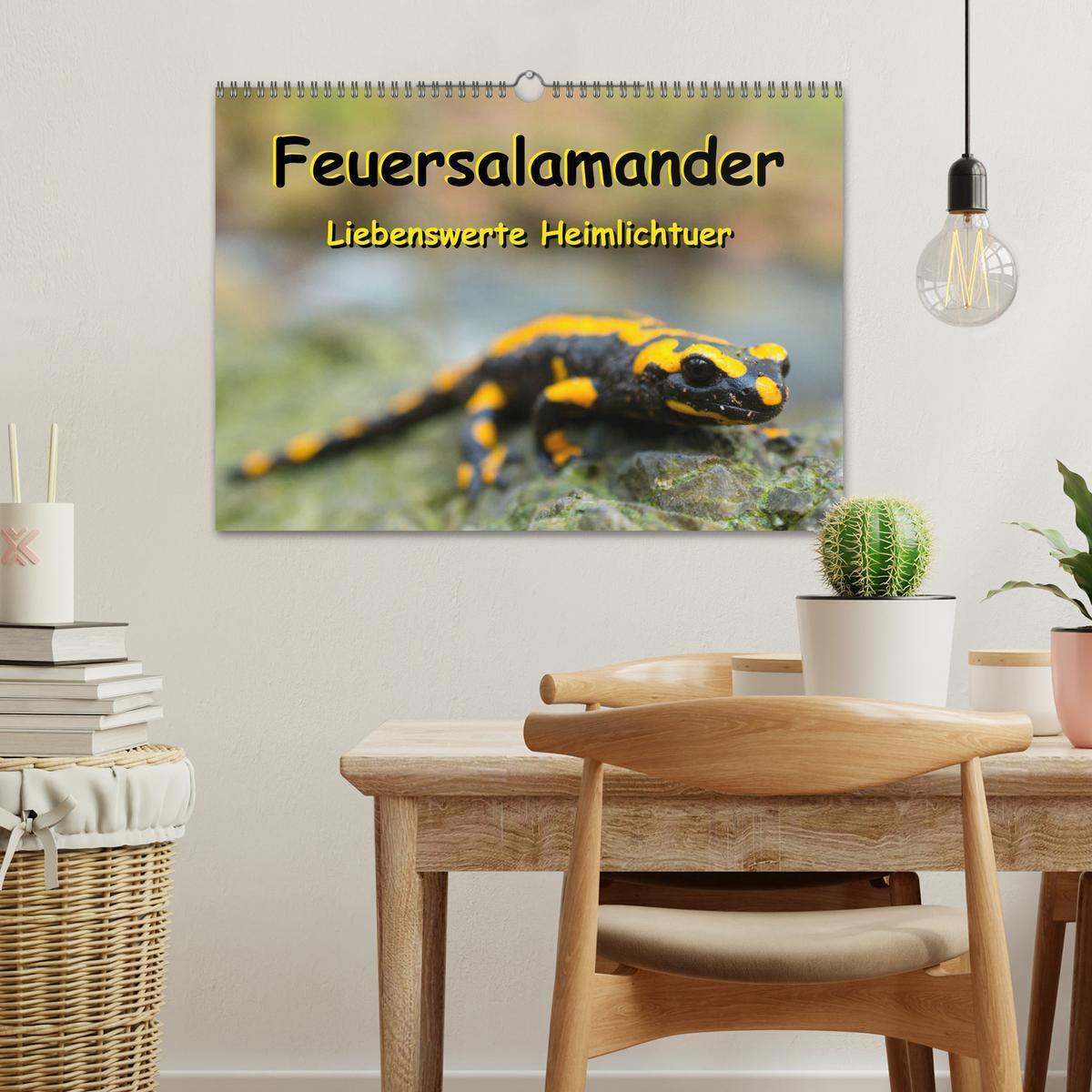 Bild: 9783435172849 | Feuersalamander - Liebenswerte Heimlichtuer (Wandkalender 2025 DIN...