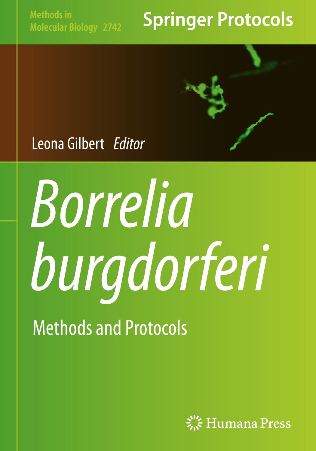Cover: 9781071635605 | Borrelia burgdorferi | Methods and Protocols | Leona Gilbert | Buch
