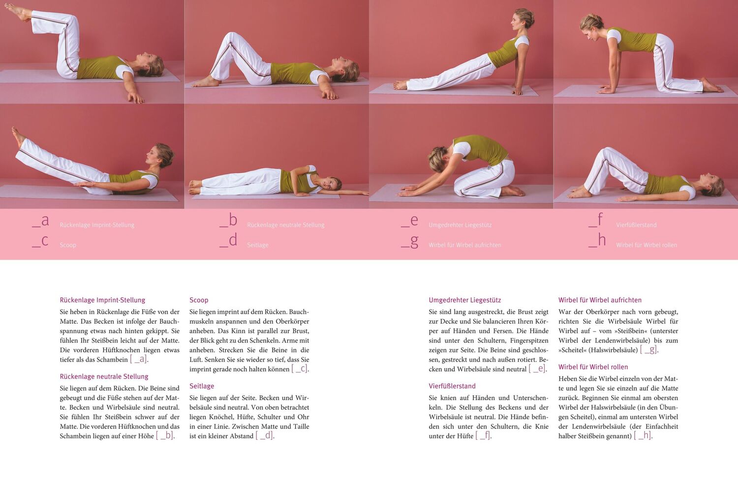 Bild: 9783833845758 | Das große Pilates-Buch (mit DVD) | Michaela Bimbi-Dresp | Taschenbuch