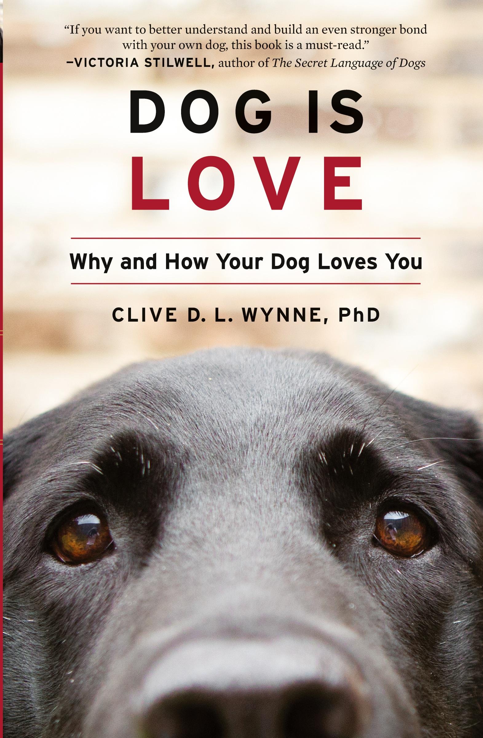 Cover: 9780358414230 | Dog Is Love | Why and How Your Dog Loves You | Clive D L Wynne | Buch