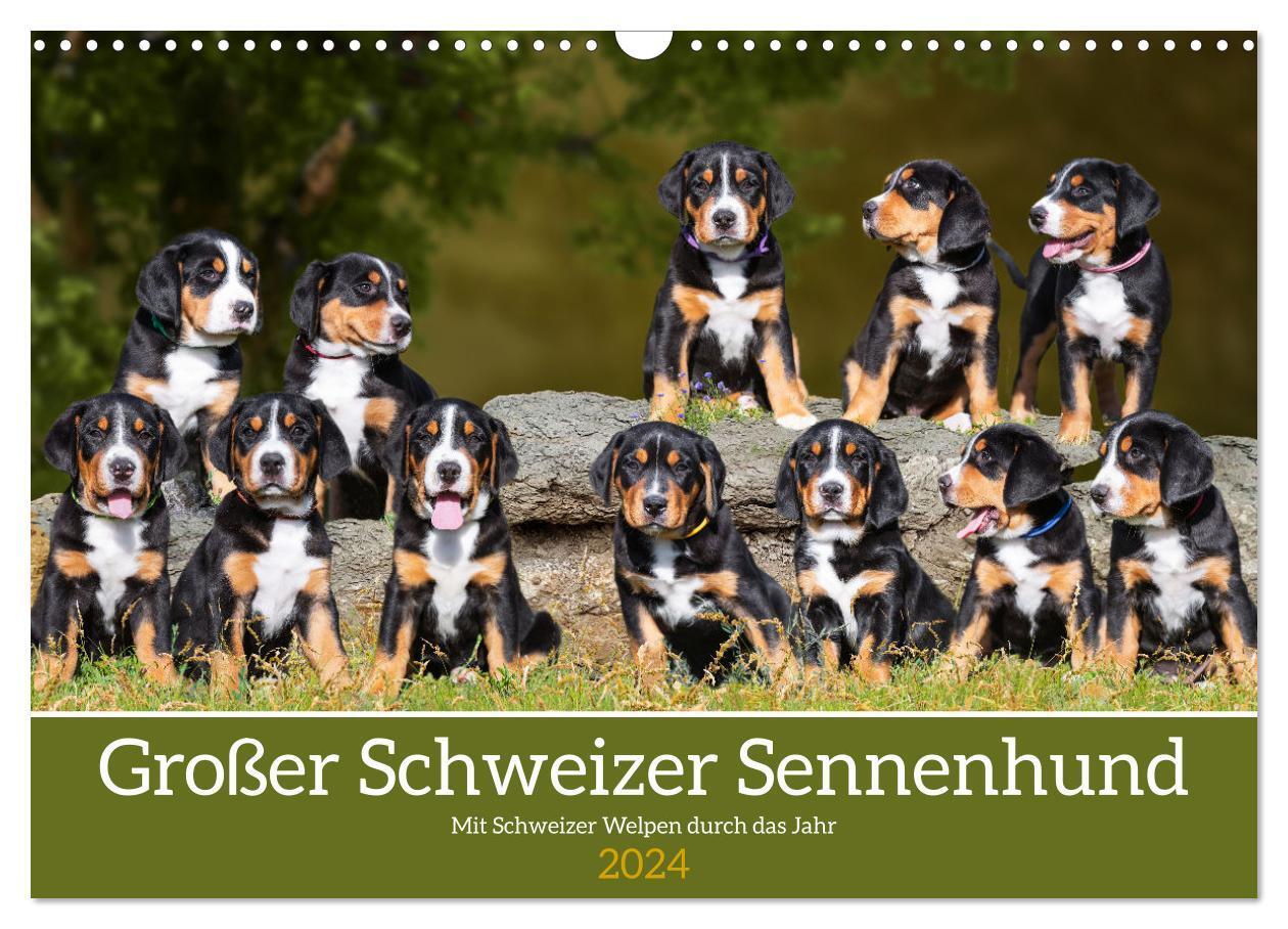 Cover: 9783675487567 | Großer Schweizer Sennenhund - Mit Schweizer Welpen durch das Jahr...