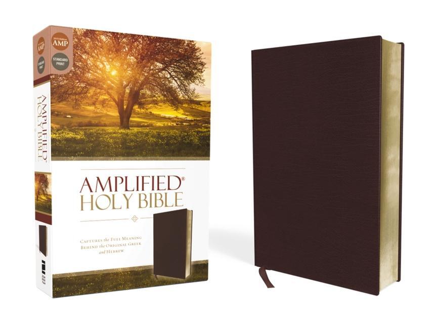 Cover: 9780310443940 | Amplified Bible-Am | Zondervan | Buch | Schachtel | Englisch | 2015