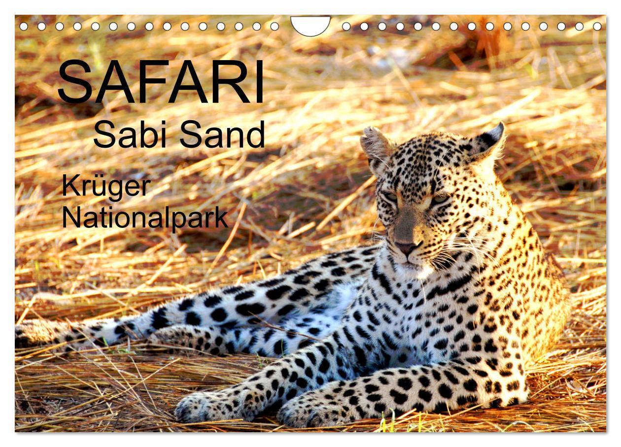 Cover: 9783435233694 | Safari / Afrika (Wandkalender 2025 DIN A4 quer), CALVENDO...