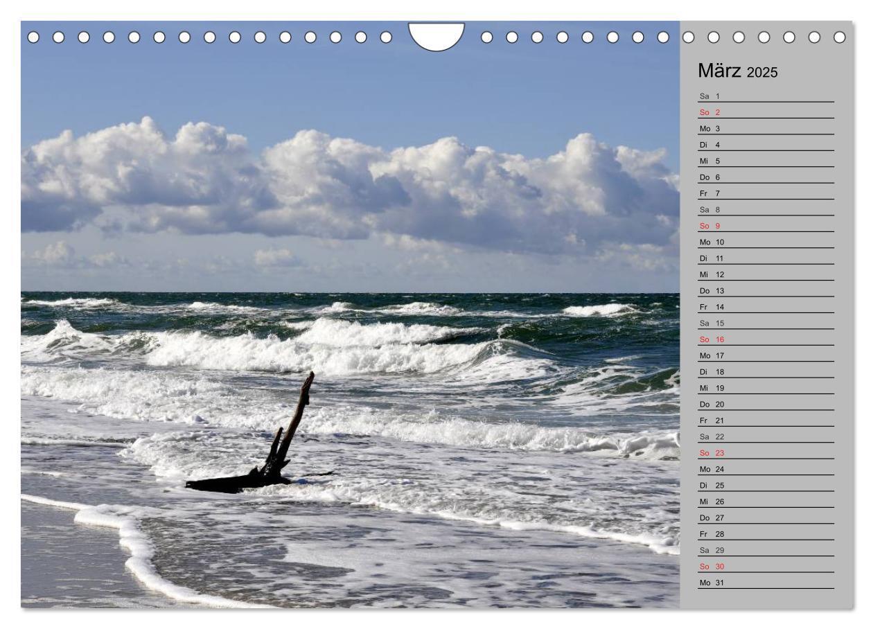 Bild: 9783435549641 | Die Ostsee (Wandkalender 2025 DIN A4 quer), CALVENDO Monatskalender