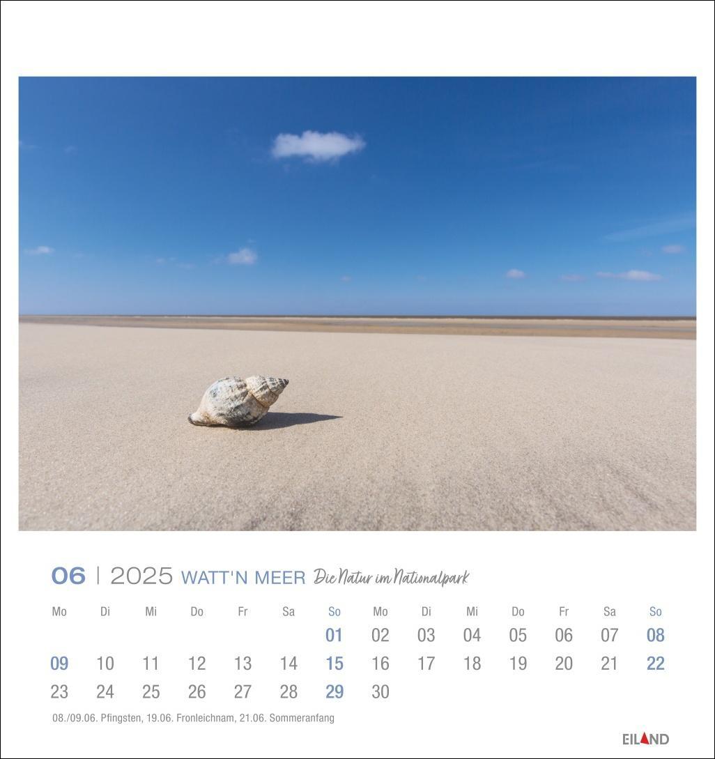 Bild: 9783964023285 | Watt'n Meer Postkartenkalender 2025 - Die Natur im Nationalpark | 2025