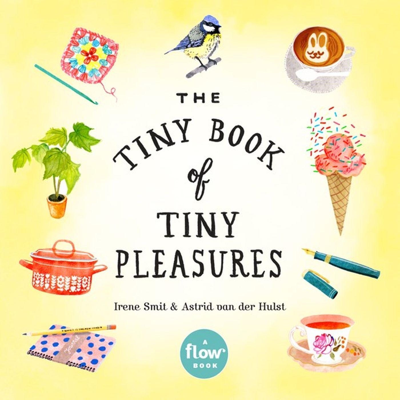 Cover: 9780761193760 | The Tiny Book of Tiny Pleasures | Irene Smit (u. a.) | Taschenbuch