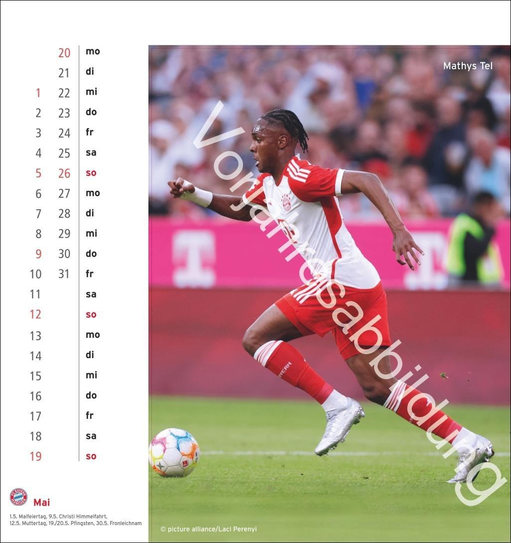 Bild: 9783756405466 | FC Bayern München Postkartenkalender 2025 | Heye | Kalender | 13 S.