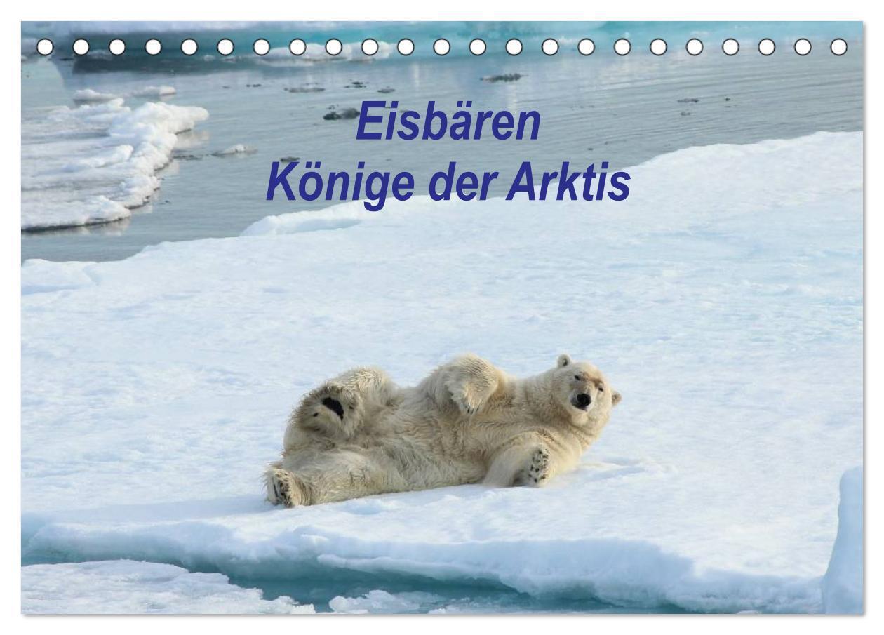 Cover: 9783383562167 | Eisbären - Könige der Arktis (Tischkalender 2024 DIN A5 quer),...