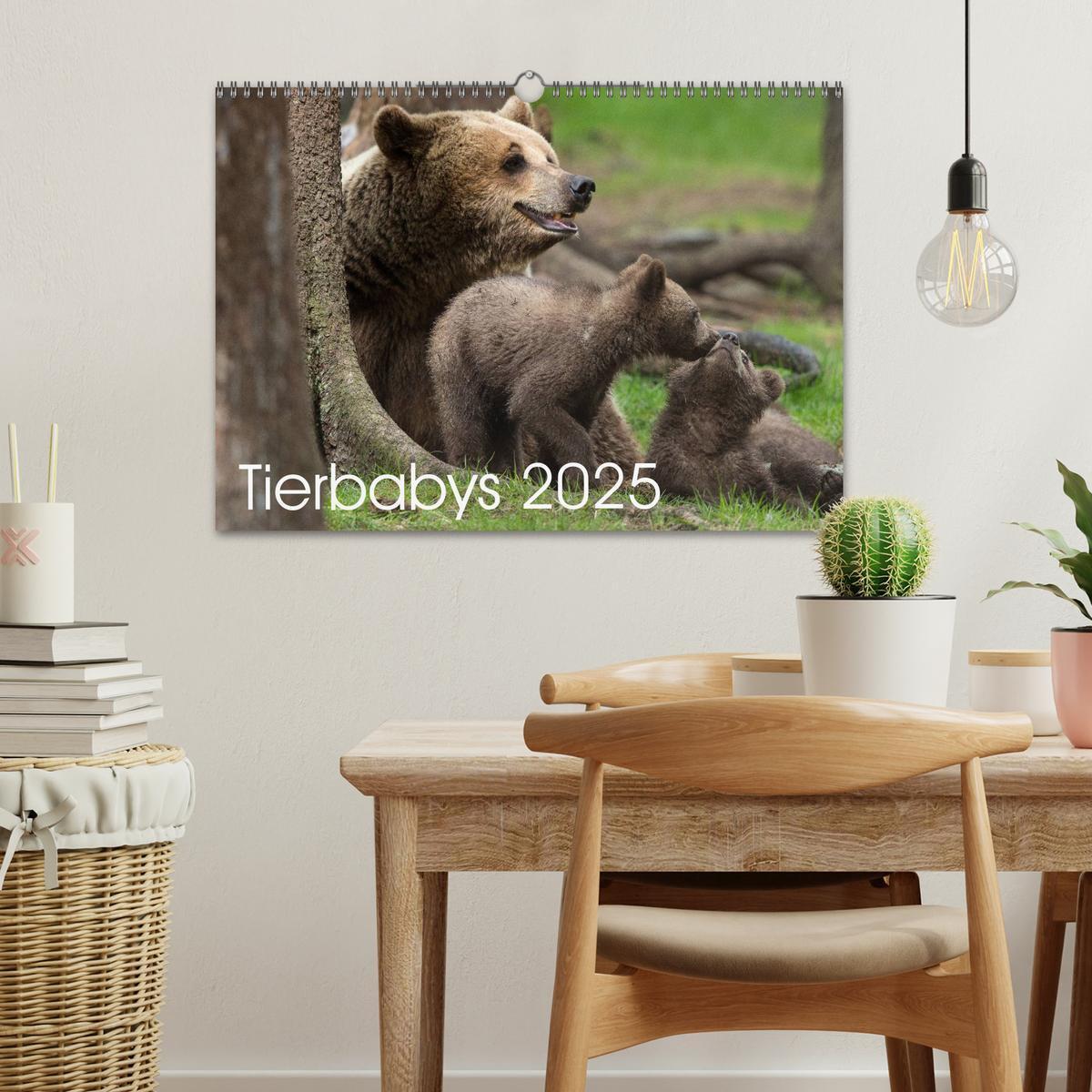 Bild: 9783435562893 | Tierbabys 2025 (Wandkalender 2025 DIN A3 quer), CALVENDO...