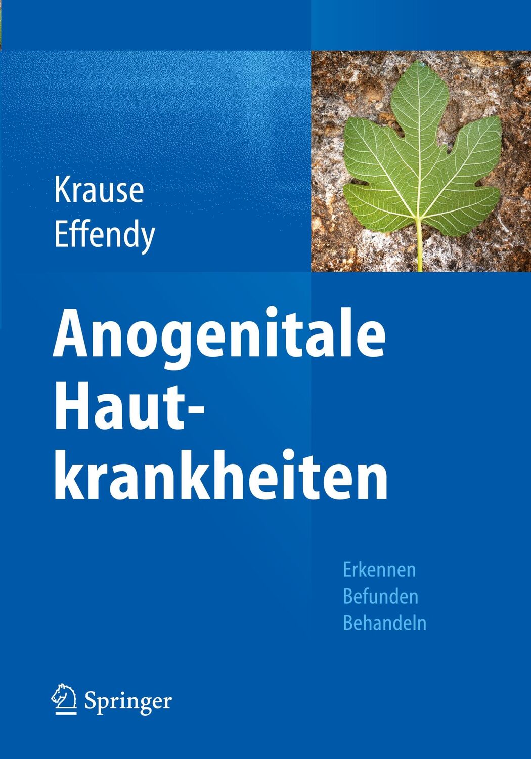 Cover: 9783662453308 | Anogenitale Hautkrankheiten | Erkennen, Befunden, Behandeln | Buch