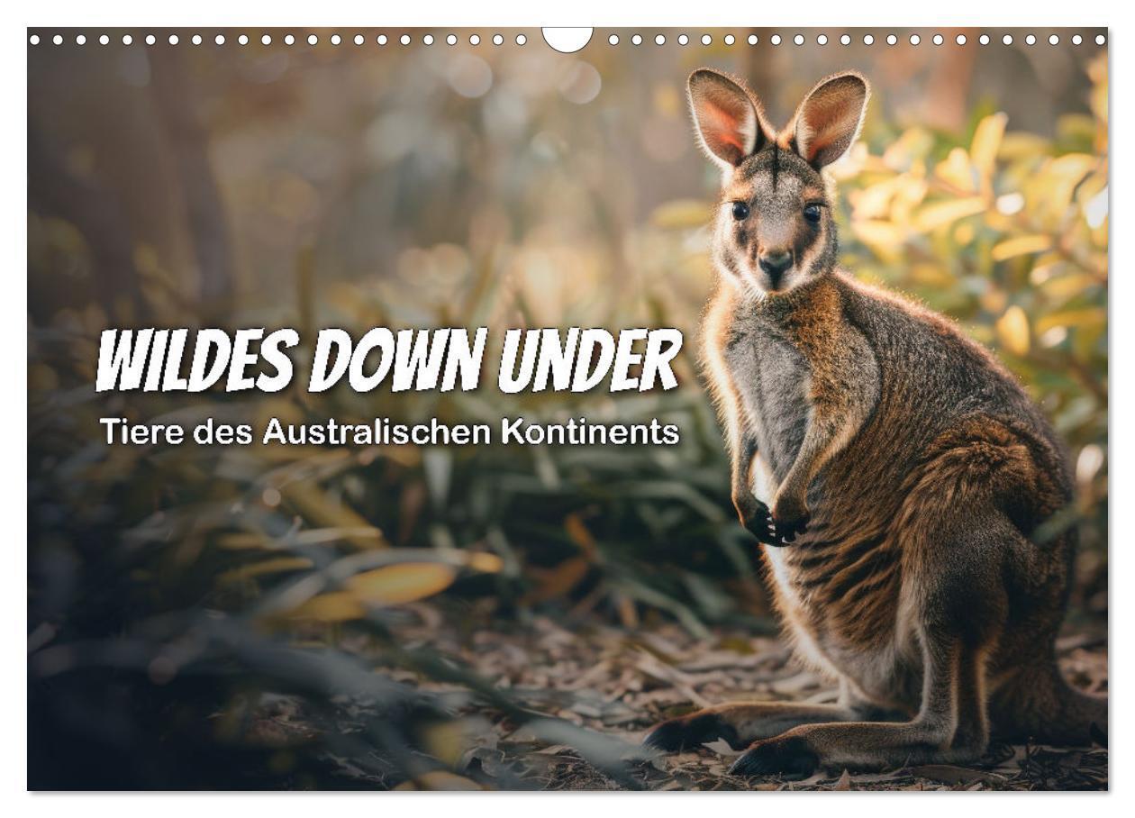 Cover: 9783383800689 | Wildes Down Under: Tiere des Australischen Kontinents (Wandkalender...