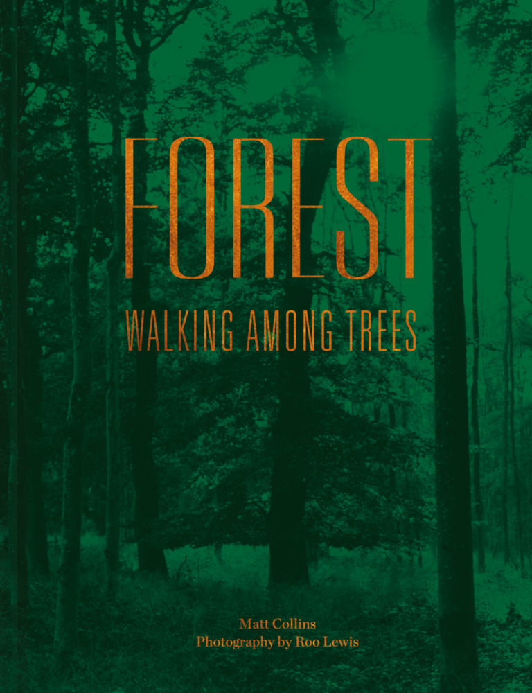 Cover: 9781911595267 | Forest | Walking among trees | Matt Collins | Buch | Gebunden | 2019