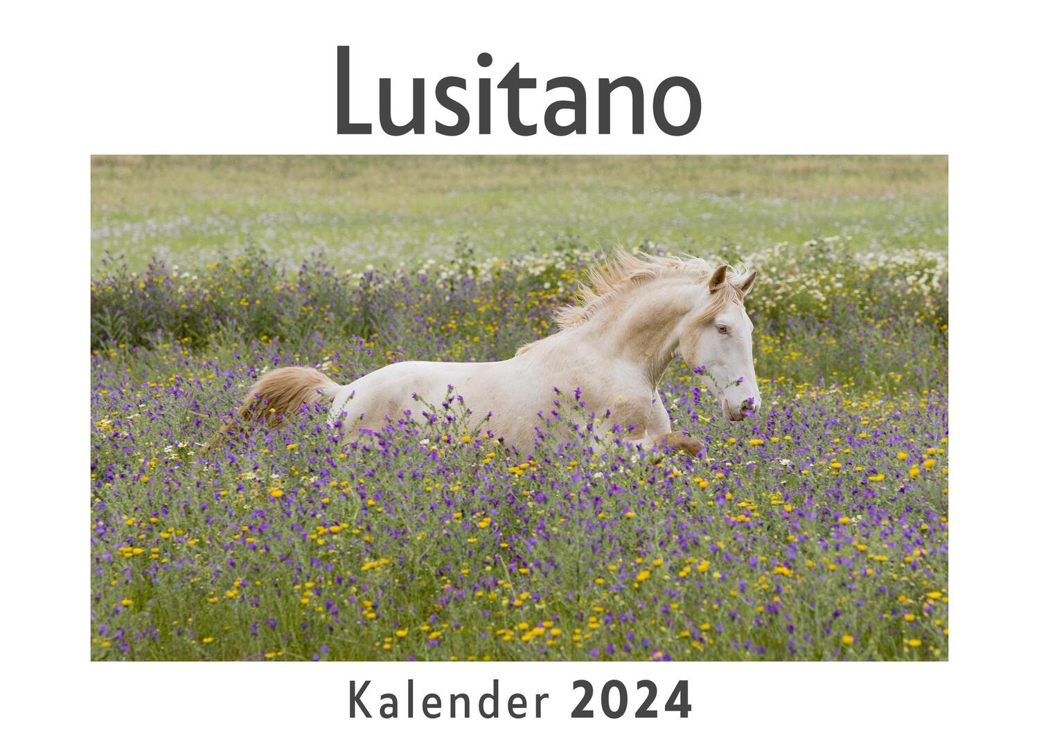 Cover: 9783750543072 | Lusitano (Wandkalender 2024, Kalender DIN A4 quer, Monatskalender...