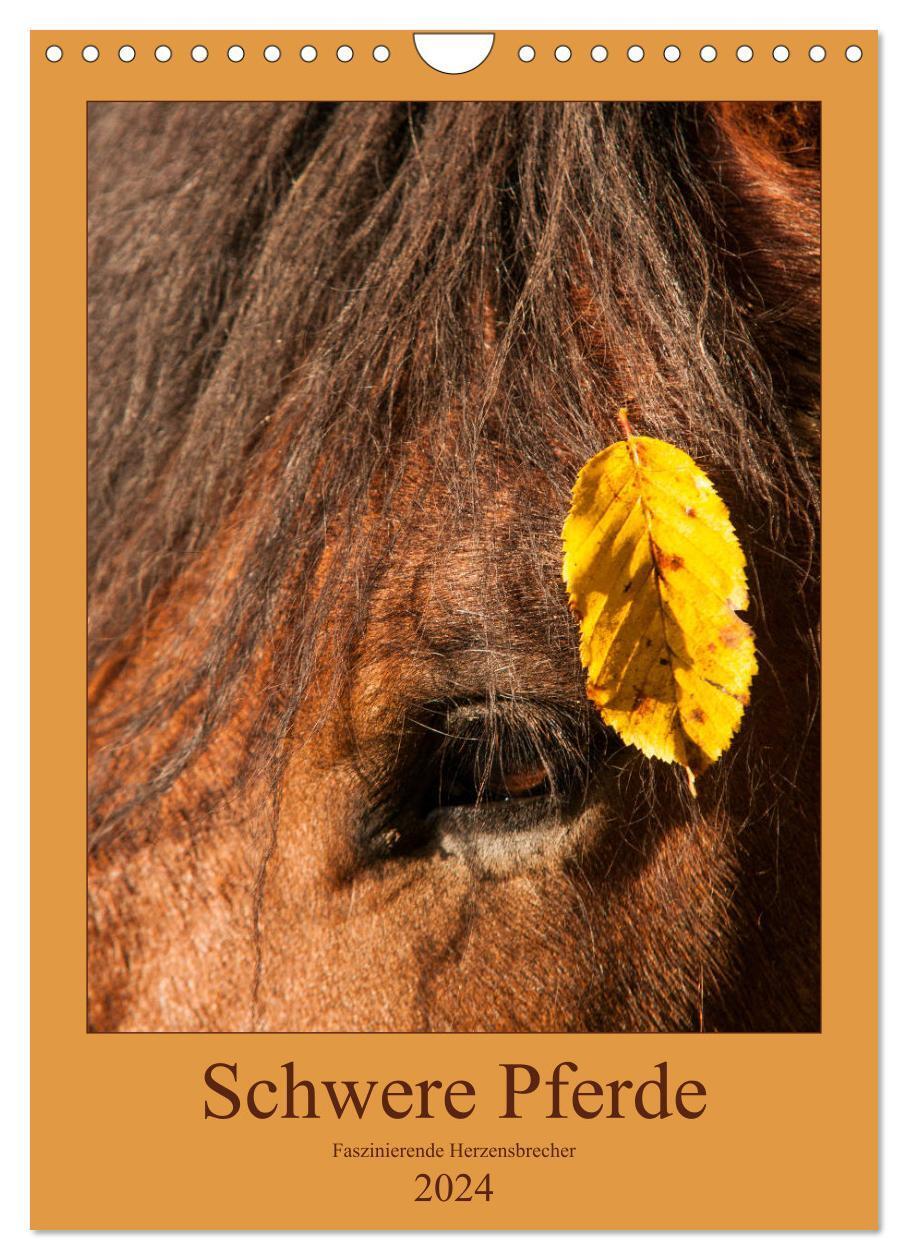 Cover: 9783383043666 | Schwere Pferde - Faszinierende Herzensbrecher (Wandkalender 2024...