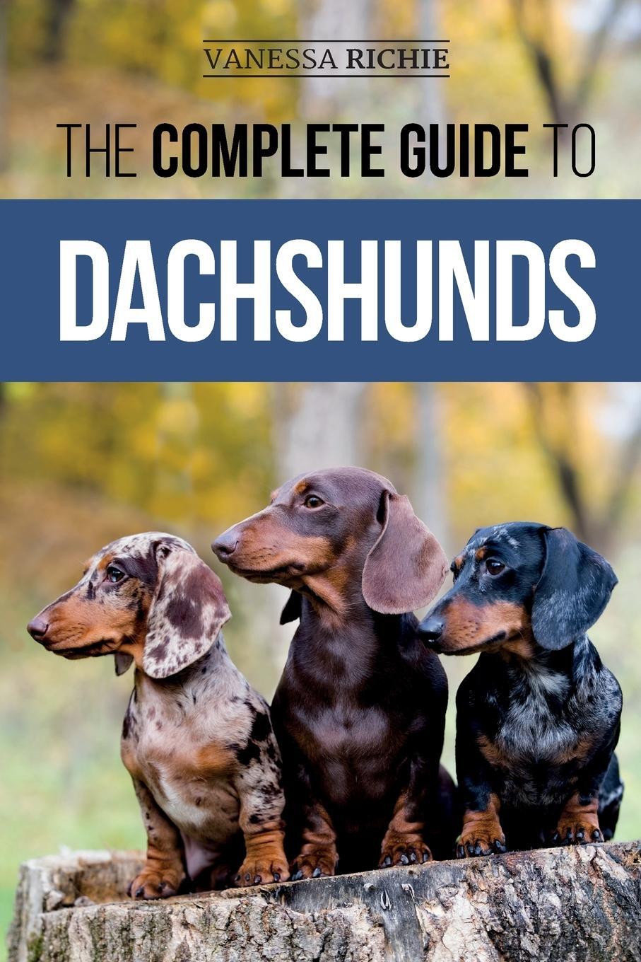 Cover: 9781952069680 | The Complete Guide to Dachshunds | Vanessa Richie | Taschenbuch | 2020