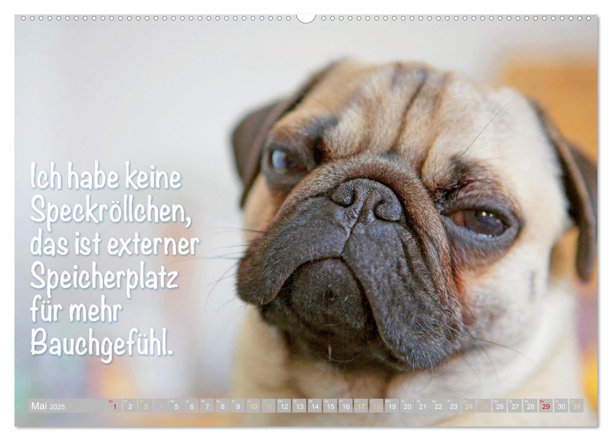 Bild: 9783435070466 | Der Mops: Nicht klein, sondern aufs Wesentliche reduziert. Edition...