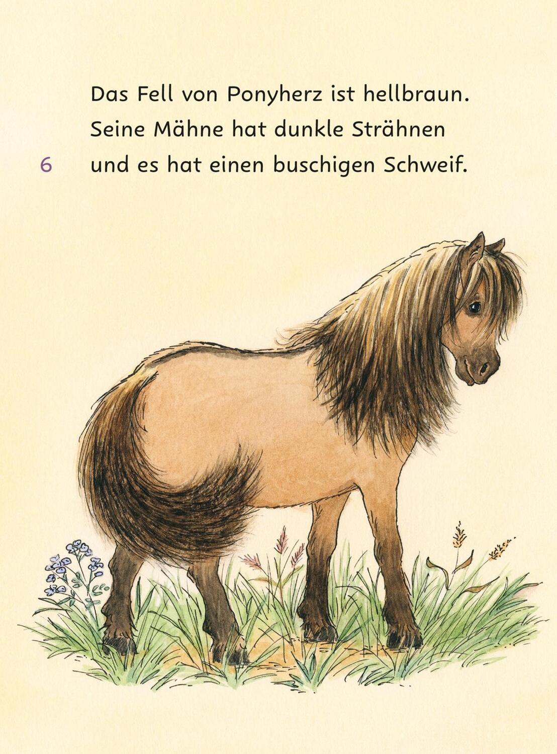 Bild: 9783551690838 | Ponyherz und Herr Franz: Die geklaute Wurst | Usch Luhn | Buch | 64 S.