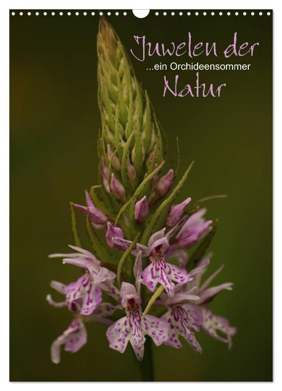 Cover: 9783457006801 | Juwelen der Natur - Ein Orchideensommer (Wandkalender 2025 DIN A3...