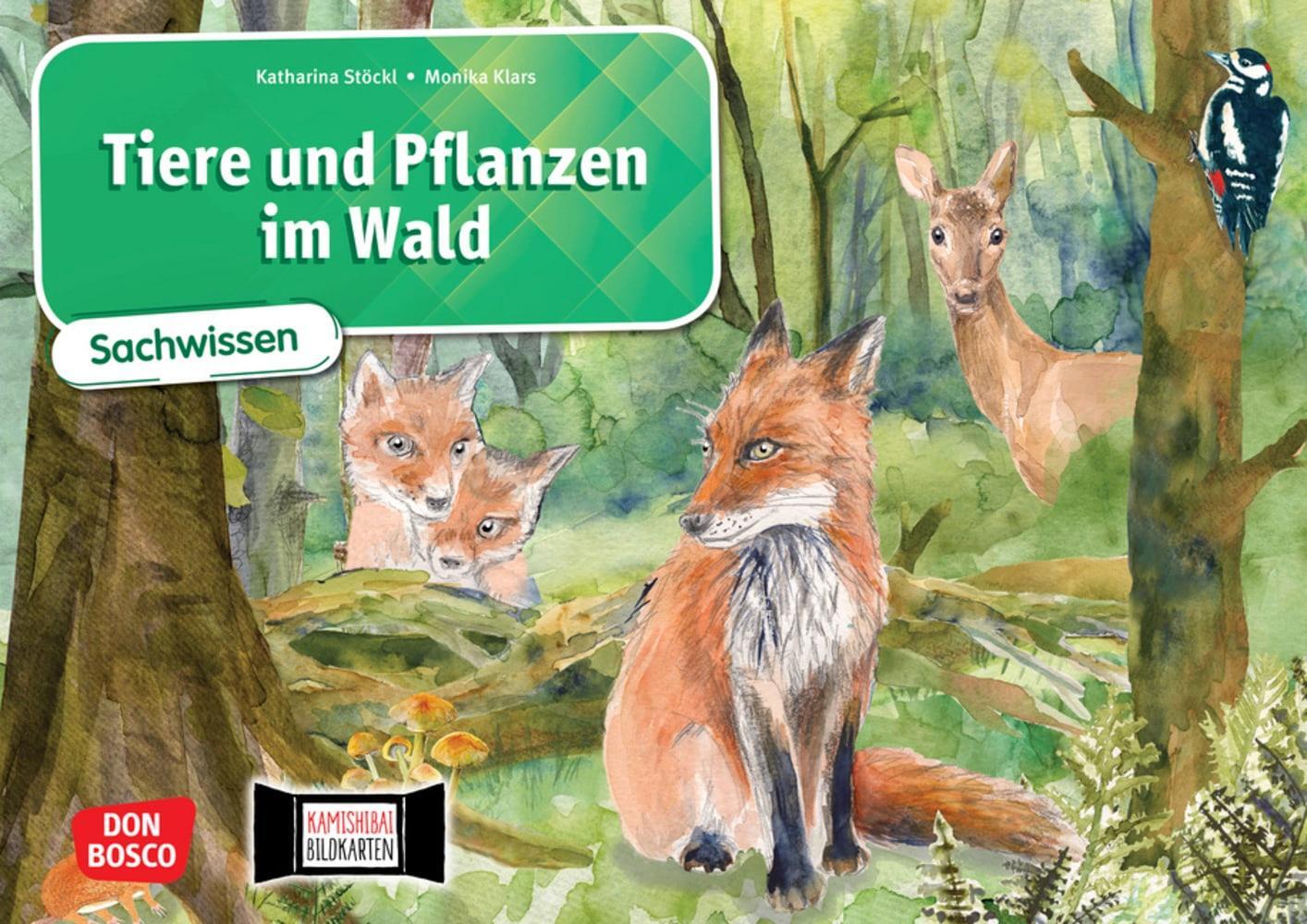 Cover: 4260179517617 | Tiere und Pflanzen im Wald. Kamishibai Bildkartenset | Stöckl-Bauer
