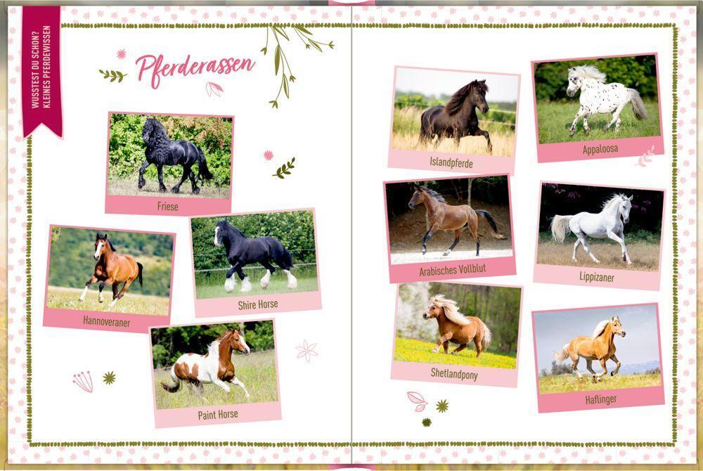 Bild: 4050003723402 | Eintragbuch - I LOVE MY HORSE | Mein Lieblingspferd und ich | Buch